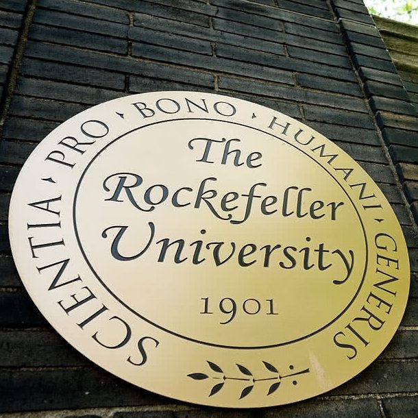 24796592_380480689071511_3131844088834773601_n